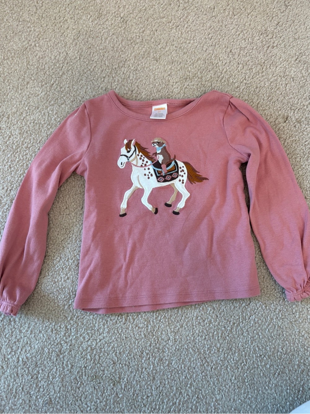 🤍Gymboree 🤍Girls' Long-Sleeve Top, size 4